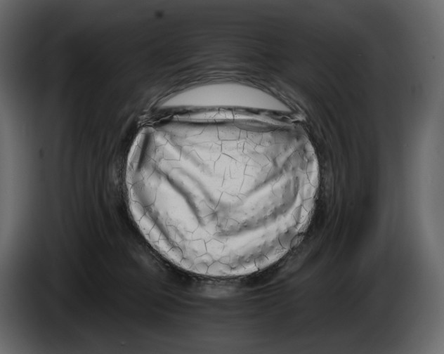 X0000084550373200703231741