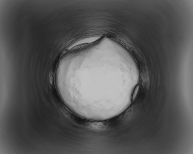 X0000084550374200703231741