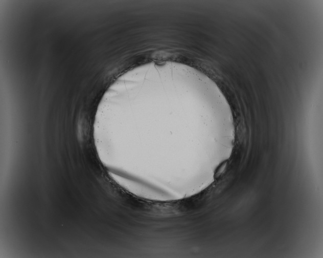 X0000084550375200703231742