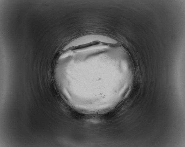 X0000084550377200703231742