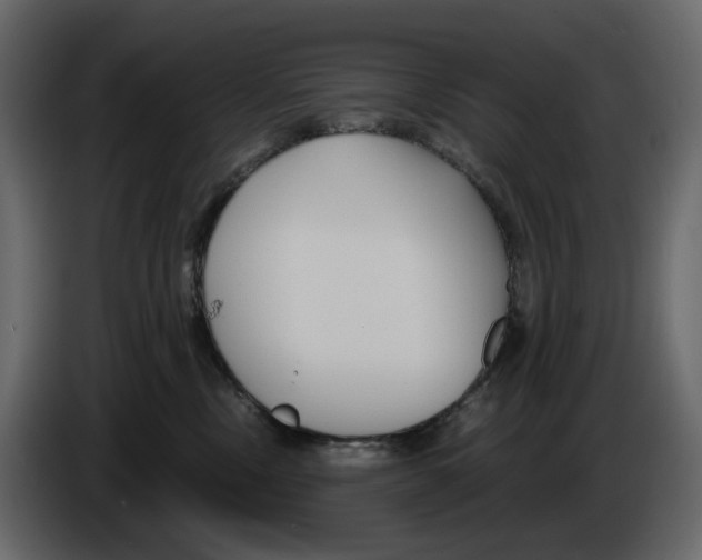 X0000084550378200703231742