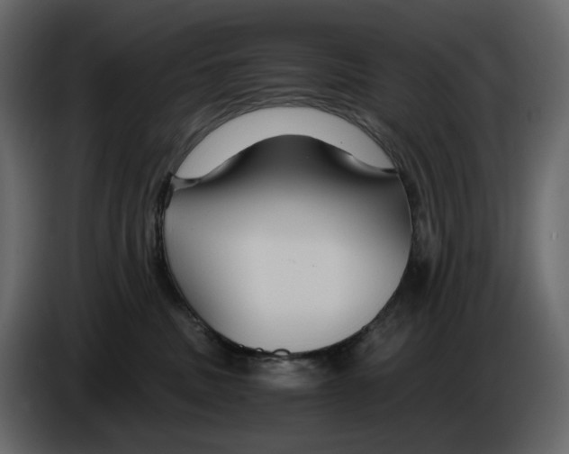 X0000084550379200703231742