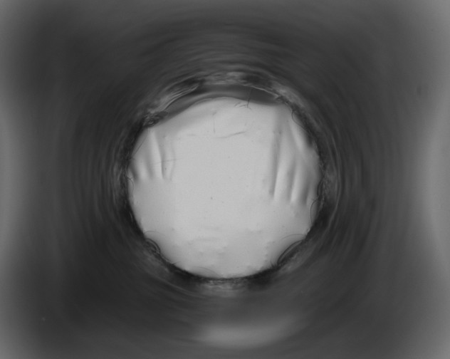 X0000084550381200703231742