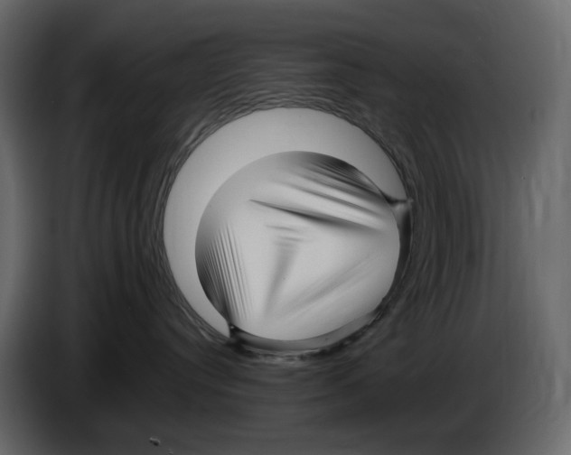 X0000084550384200703231742