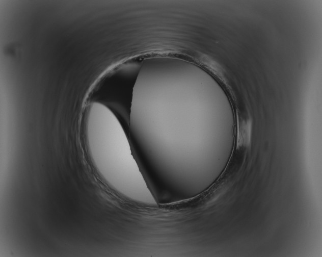 X0000084550387200703231741