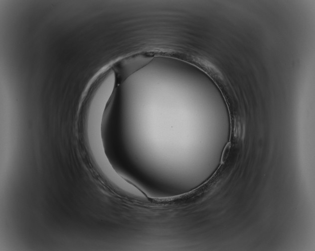 X0000084550388200703231741