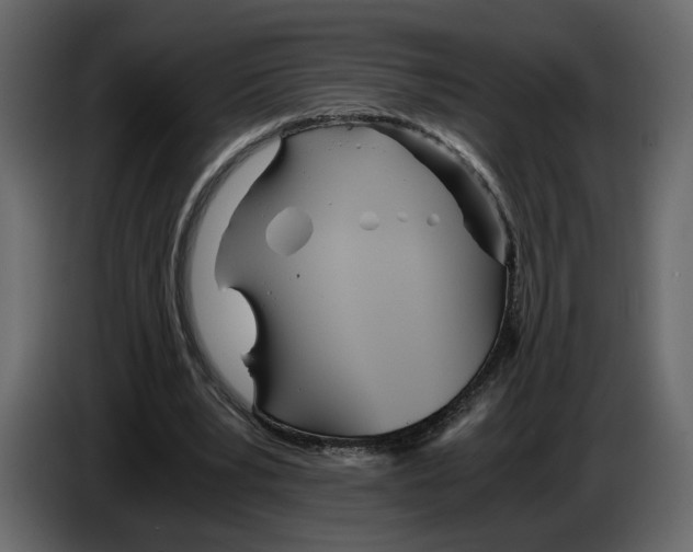 X0000084550391200703231741