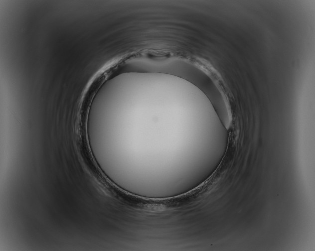 X0000084550392200703231741