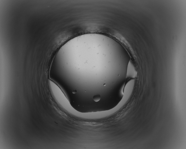 X0000084550393200703231741