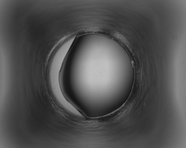 X0000084550395200703231741