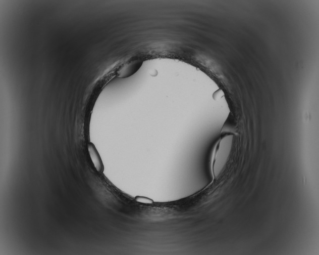 X0000084550399200703231741