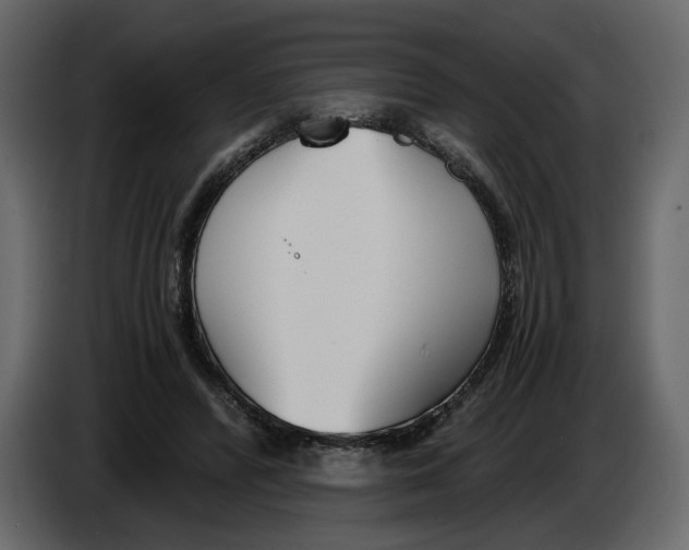 X0000084550400200703231741