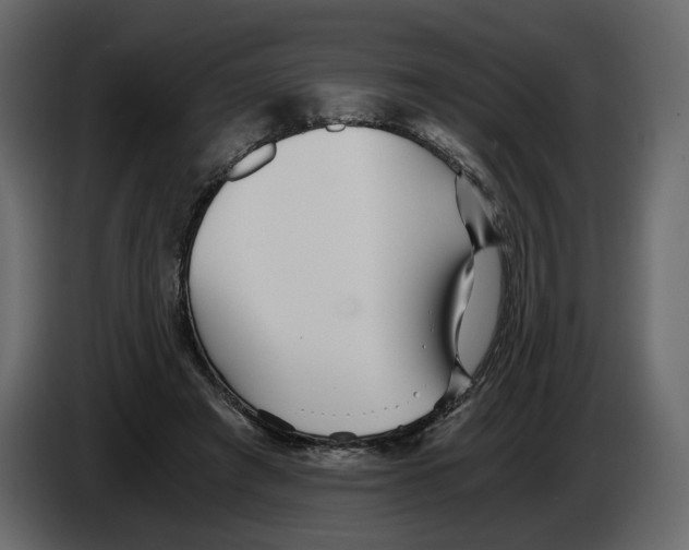 X0000084550401200703231741