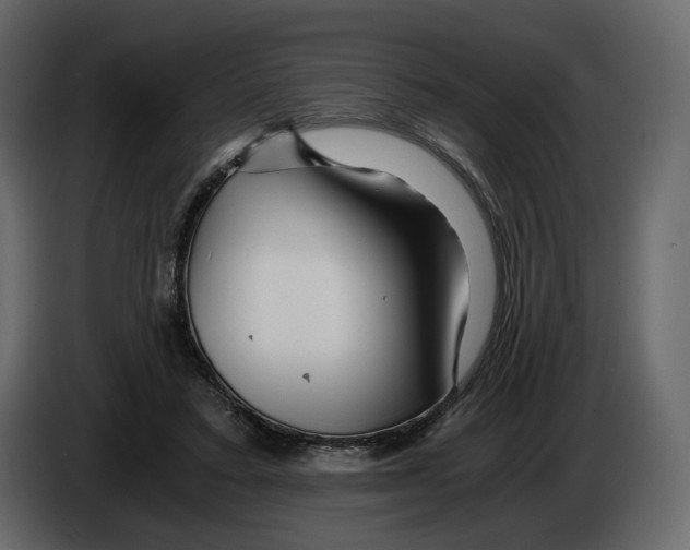 X0000084550403200703231741