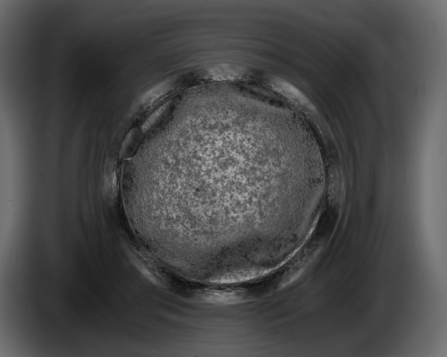 X0000084550405200703231741