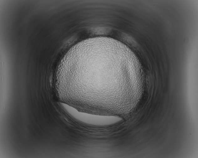 X0000084550406200703231741