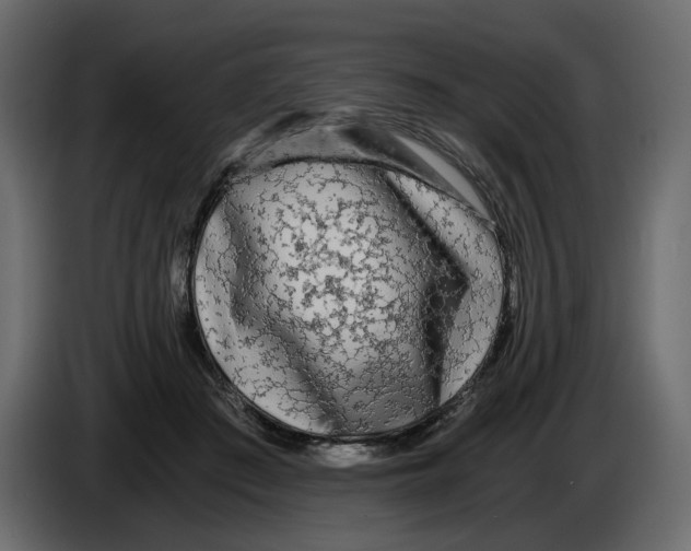 X0000084550409200703231741