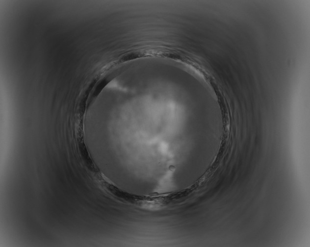 X0000084550411200703231741