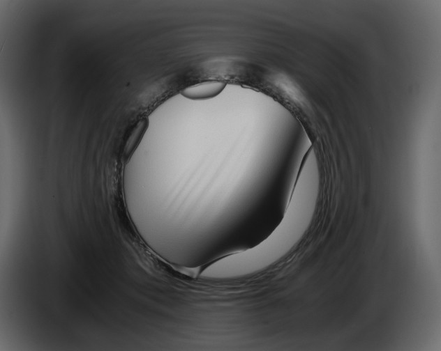 X0000084550413200703231741