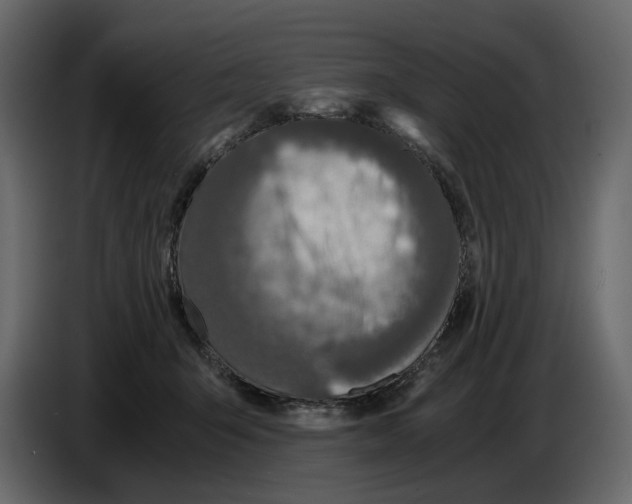 X0000084550415200703231741