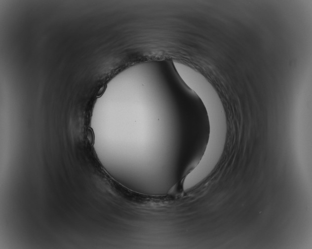 X0000084550416200703231741