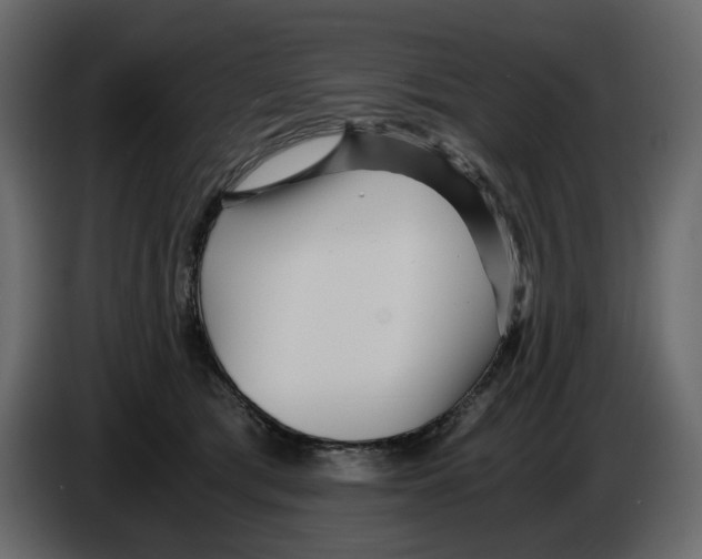 X0000084550417200703231741