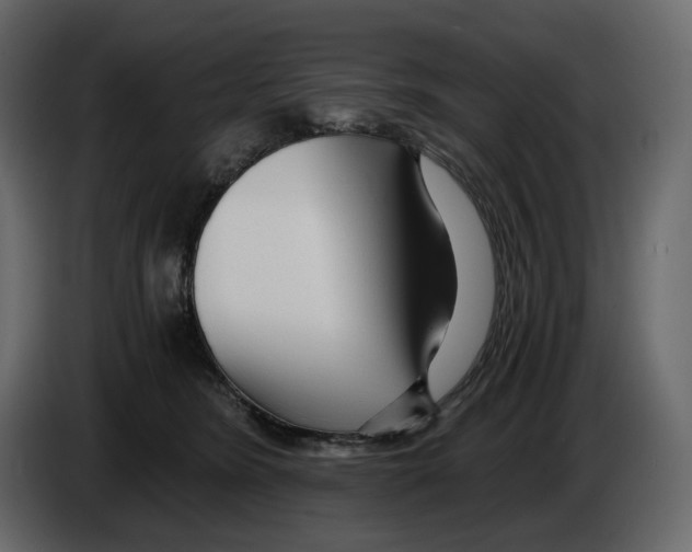 X0000084550420200703231740