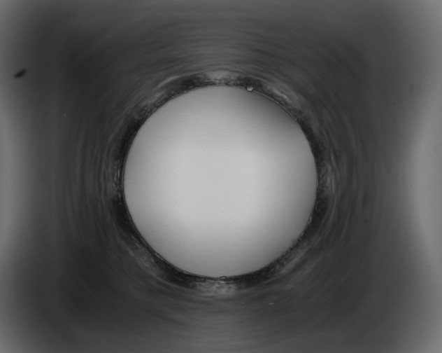 X0000084550421200703231740