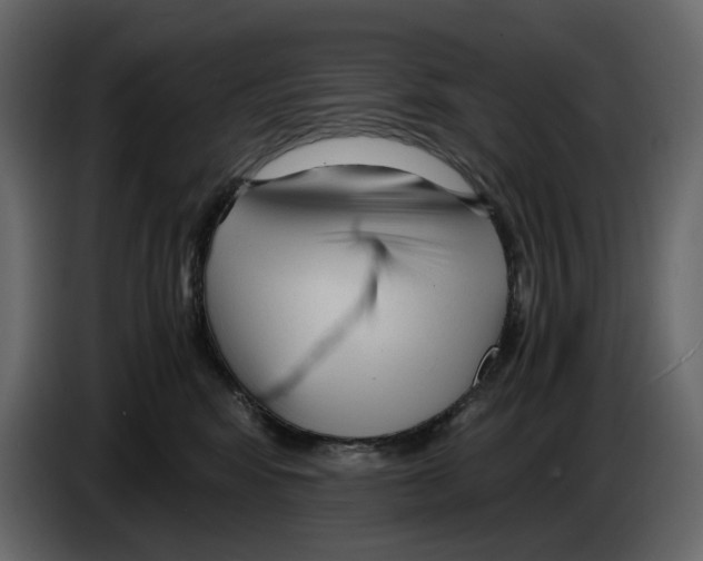 X0000084550424200703231740