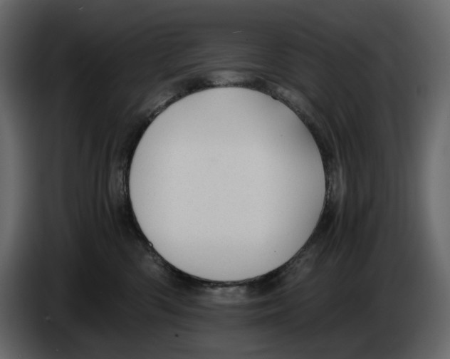 X0000084550426200703231740