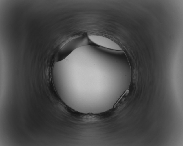 X0000084550428200703231740