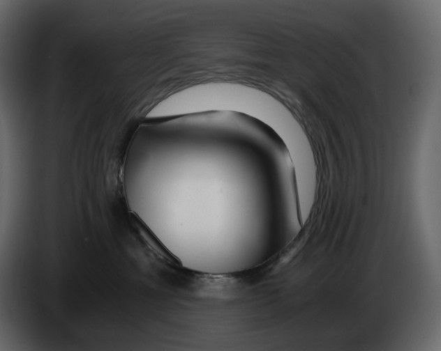 X0000084550429200703231740