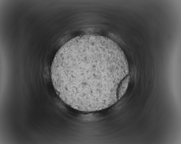 X0000084550430200703231740