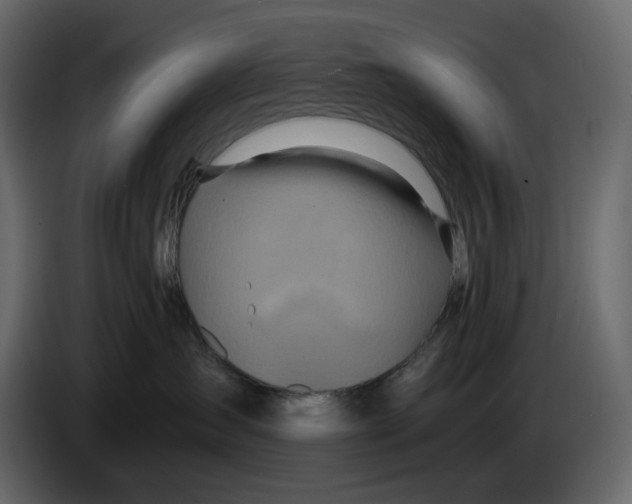 X0000084550431200703231740