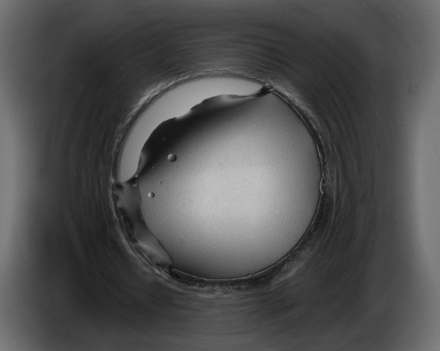 X0000084550434200703231740