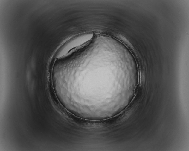 X0000084550435200703231740