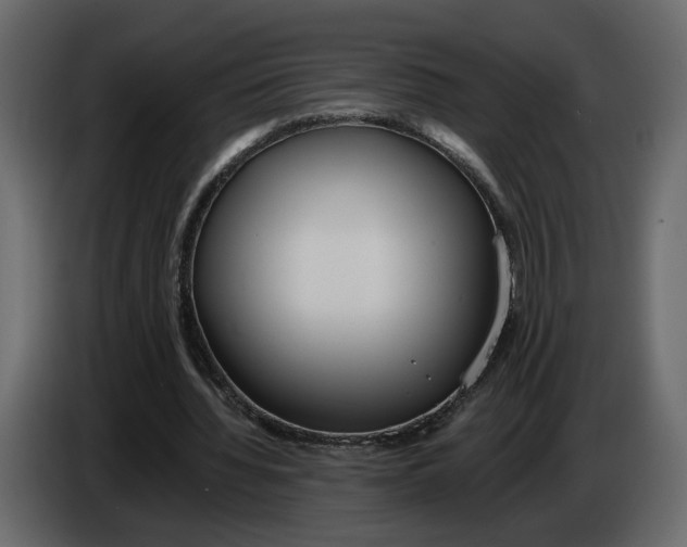 X0000084550436200703231740