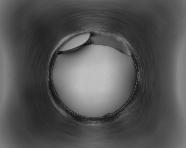 X0000084550438200703231740