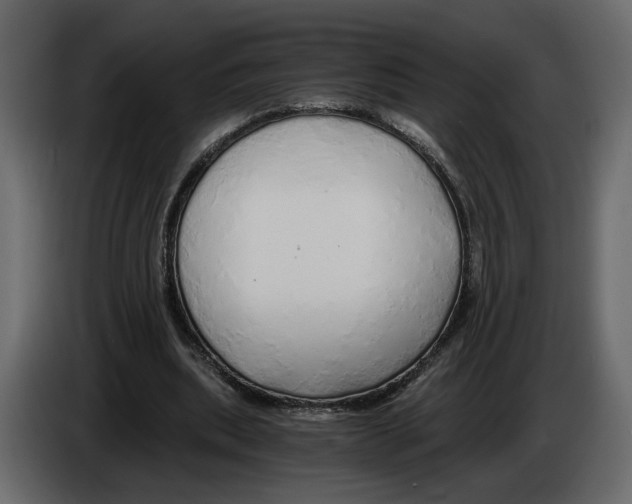 X0000084550439200703231740