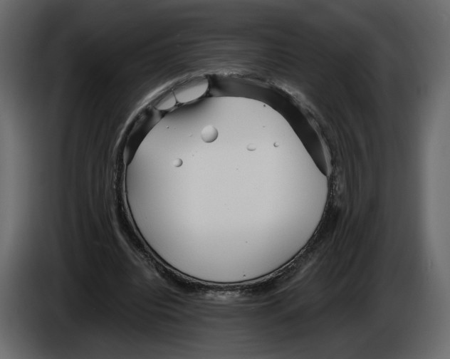 X0000084550440200703231740