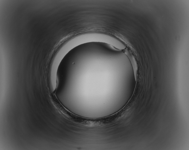 X0000084550442200703231740