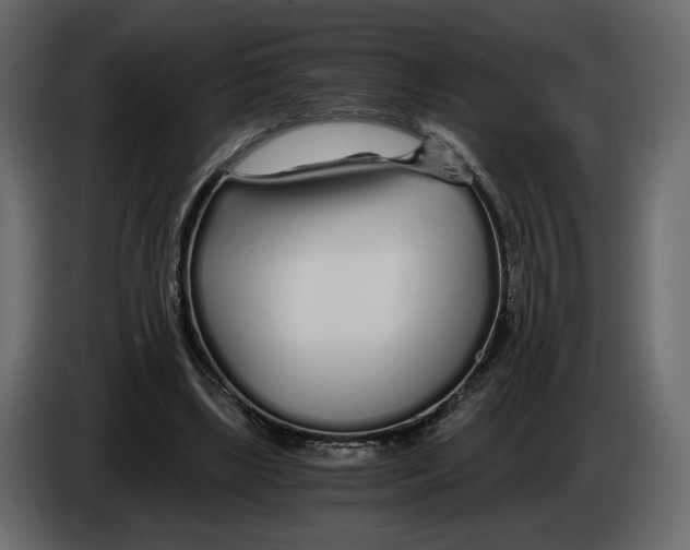 X0000084550443200703231740