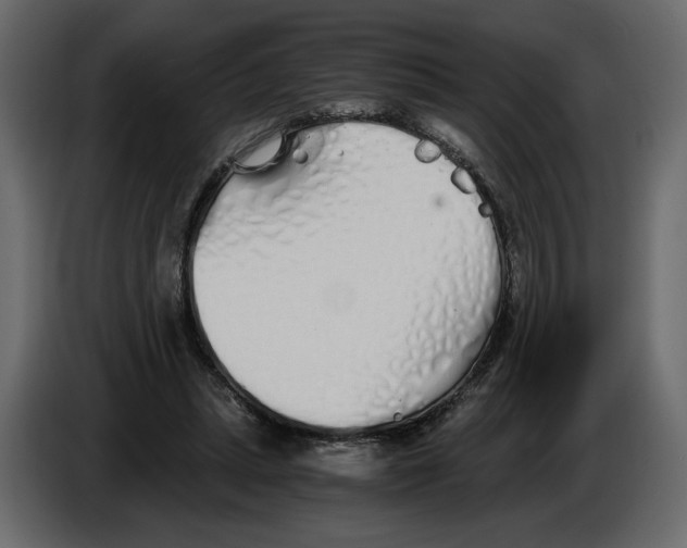 X0000084550447200703231740