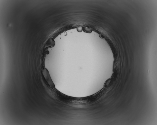 X0000084550448200703231740