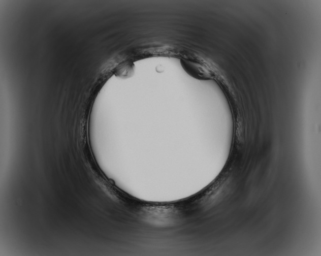 X0000084550449200703231740