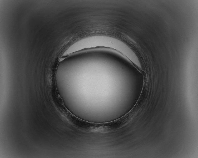 X0000084550452200703231740