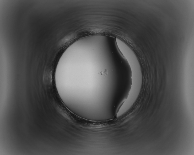 X0000084550454200703231740