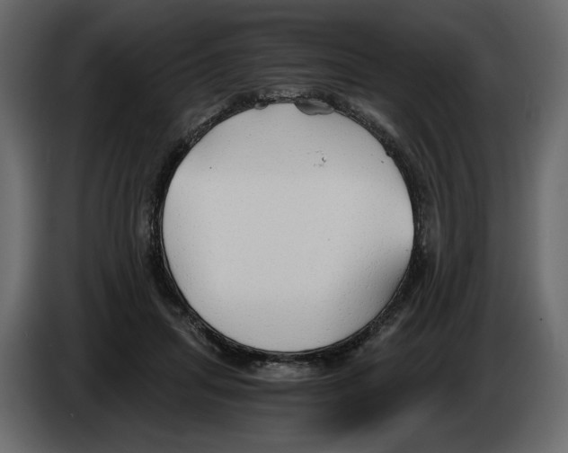 X0000084550455200703231740