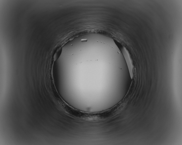 X0000084550456200703231740