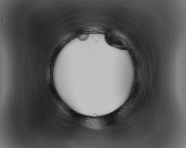 X0000084550457200703231740